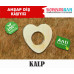 Diş Kaşıyıcı Kalp