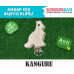 Klipsli Kanguru 