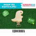 Klipsli Ejderha