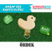 Klipsli Ördek