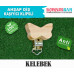 Klipsli Kelebek