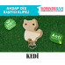 Klipsli Kedi